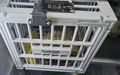 ¿Por qué no tengo constancia con la dieta? La clave está en tu identidad.